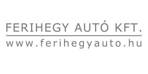 Ferihegy Autó Kft Horpadás javítás, Jégkár javítás