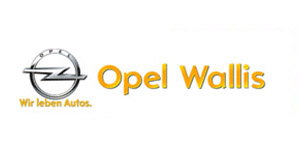 Opel Wallis Budapest Horpadás javítás, Jégkár javíás.